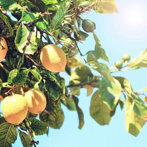 欧美色美色综合图
